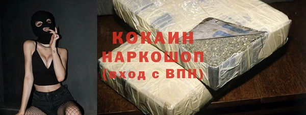 стафф Алзамай