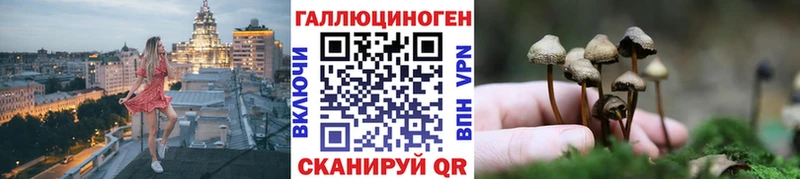 Галлюциногенные грибы Psilocybine cubensis Калач